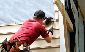 Best Fascia and Soffit Installation  in Fruitland, IA